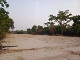  Land for sale in Ubon Ratchathani, Phon Ngam, Det Udom, Ubon Ratchathani