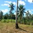  Land for sale in Cavite, Calabarzon, Magallanes, Cavite