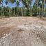  Land for sale in Nakhon Si Thammarat, Khanom, Khanom, Nakhon Si Thammarat