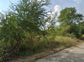  Grundstück zu verkaufen in Sam Khok, Pathum Thani, Chiang Rak Noi