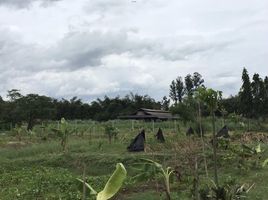  Grundstück zu verkaufen in Phanat Nikhom, Chon Buri, Mon Nang