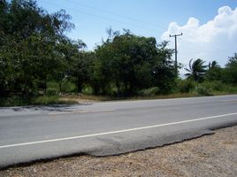  Grundstück zu verkaufen in Mueang Phetchaburi, Phetchaburi, Hat Chao Samran