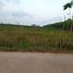  Land for sale in Chumphon, Chong Mai Kaeo, Thung Tako, Chumphon