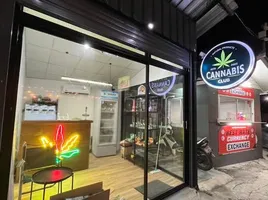 在塔朗, 普吉出租的开间 商店, 晟泰雷, 塔朗