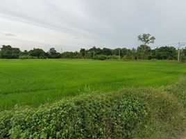  Land for sale in Banphot Phisai, Nakhon Sawan, Nong Krot, Banphot Phisai