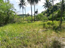  Land for sale in Laem Panwa, Wichit, Wichit