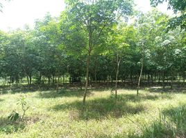  Land for sale in Si Maha Phot, Prachin Buri, Nong Phrong, Si Maha Phot