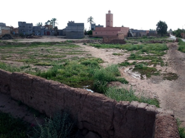  Grundstück zu verkaufen in Marrakech, Marrakech Tensift Al Haouz, Na Annakhil