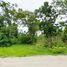  Land for sale in Hankha, Chai Nat, Den Yai, Hankha