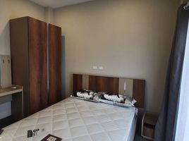 3 Bedroom House for rent in Huai Sai, Mae Rim, Huai Sai