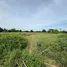 ขายที่ดิน ใน รางพิกุล, นครปฐม, รางพิกุล