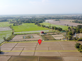  Land for sale in Rong Wua Daeng, San Kamphaeng, Rong Wua Daeng