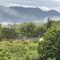  Land for sale in Huai Sai, Chiang Mai, Huai Sai, Mae Rim
