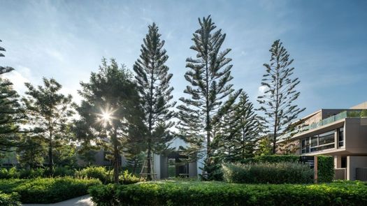 Photos 1 of the Communal Garden Area at Artale Phatthanakan-Thonglor