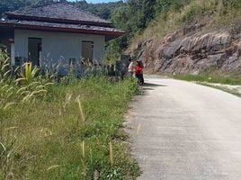  Land for sale in Chalong, Phuket Town, Chalong