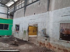  Warehouse for sale in MRT Station, Bangkok, Sala Thammasop, Thawi Watthana, Bangkok