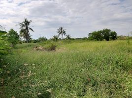  Grundstück zu verkaufen in Nong Chok, Bangkok, Lam Toiting, Nong Chok