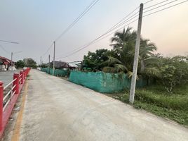  Land for sale in San Sai, Chiang Mai, Nong Han, San Sai