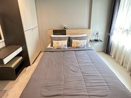 1 Bedroom Condo for rent at ZCAPE III, Wichit