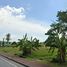  Land for sale in Nakhon Si Thammarat, Tha Sala, Tha Sala, Nakhon Si Thammarat