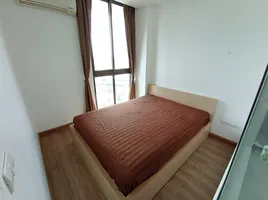 1 Schlafzimmer Wohnung zu vermieten im Ideo Mix Sukhumvit 103, Bang Na, Bang Na, Bangkok