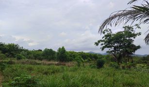 N/A Land for sale in Thep Krasattri, Phuket 