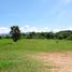  Land for sale in Nong Yaeng, San Sai, Nong Yaeng