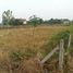  Land for sale in Yang Yai, Changhan, Yang Yai