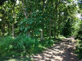  Grundstück zu verkaufen in Tak Fa, Nakhon Sawan, Nong Phikun, Tak Fa, Nakhon Sawan, Thailand