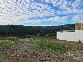  Land for sale in Morocco, Tanger Assilah, Tanger Tetouan, Morocco