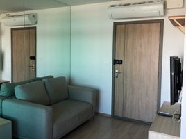 1 Bedroom Apartment for sale at Ideo O2, Bang Na, Bang Na