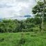  Land for sale in Perez Zeledon, San Jose, Perez Zeledon