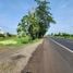  Land for sale in Nong Bun Mak Nakhon Ratchasima, Nong Bunnak, Nong Bun Mak, Nakhon Ratchasima