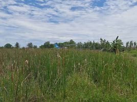  Land for sale in Bang Chan, Mueang Phetchaburi, Bang Chan