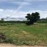  Land for sale in Sukhothai, Pa Ngio, Si Satchanalai, Sukhothai