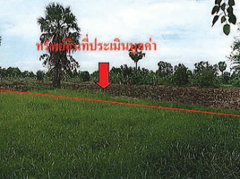  Land for sale in Phimai, Nakhon Ratchasima, Nai Mueang, Phimai