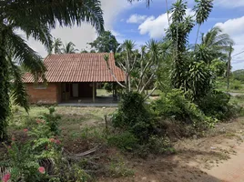 2 Schlafzimmer Haus zu vermieten in Chumphon, Wisai Nuea, Mueang Chumphon, Chumphon