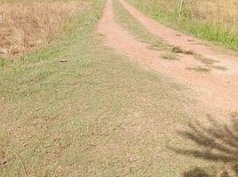  Grundstück zu verkaufen in Mueang Khon Kaen, Khon Kaen, Ban Kho