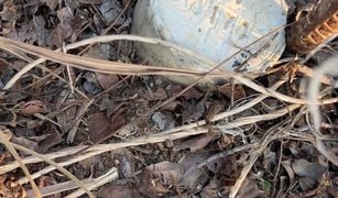 Земельный участок, N/A на продажу в Mittraphap, Saraburi 