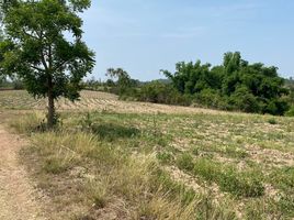  Land for sale in Nakhon Ratchasima, Wang Nam Khiao, Wang Nam Khiao, Nakhon Ratchasima