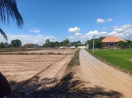  Grundstück zu verkaufen in Mueang Lamphun, Lamphun, Pa Sak, Mueang Lamphun