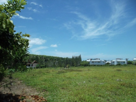  Land for sale in Pa Khlok, Thalang, Pa Khlok