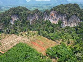  Grundstück zu verkaufen in Mueang Krabi, Krabi, Khao Khram