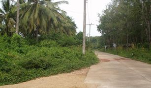 N/A Land for sale in Ko Yao Noi, Phangnga 