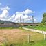  Land for sale in Thalang, Phuket, Si Sunthon, Thalang