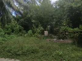  Land for sale in Koh Samui, Lipa Noi, Koh Samui