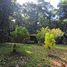  Land for sale in Perez Zeledon San Jose, Perez Zeledon