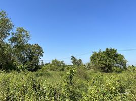  Land for sale in Chachoengsao, Don Chimphli, Bang Nam Priao, Chachoengsao