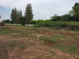  Land for sale in Mueang Kao, Mueang Khon Kaen, Mueang Kao