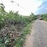  Land for sale in Thalang, Phuket, Thep Krasattri, Thalang